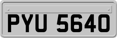 PYU5640