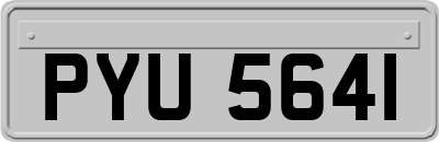 PYU5641