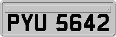 PYU5642