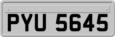 PYU5645