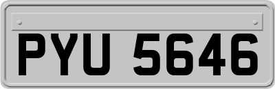 PYU5646