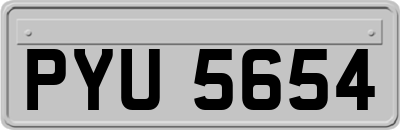 PYU5654