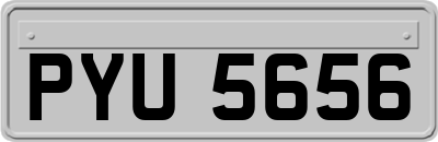 PYU5656