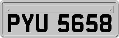 PYU5658