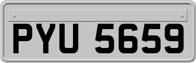 PYU5659