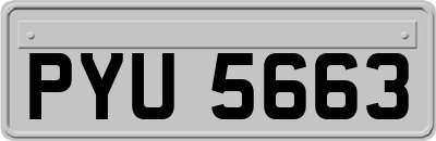 PYU5663