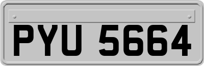 PYU5664