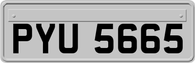 PYU5665