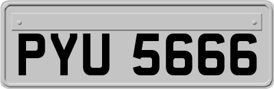 PYU5666