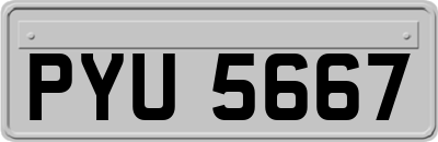 PYU5667