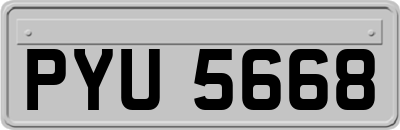 PYU5668