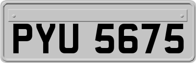 PYU5675