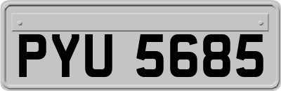 PYU5685