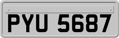 PYU5687