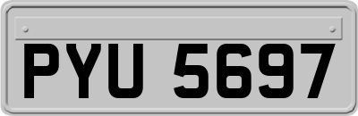 PYU5697