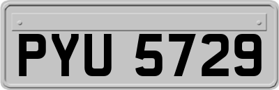 PYU5729