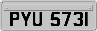 PYU5731