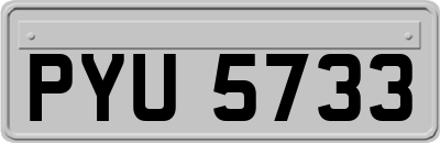 PYU5733