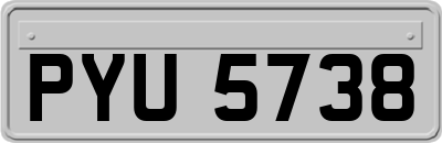 PYU5738