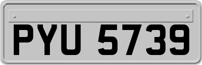 PYU5739