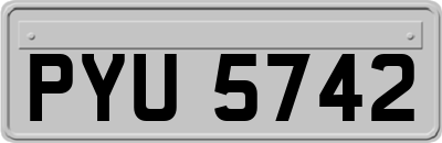 PYU5742