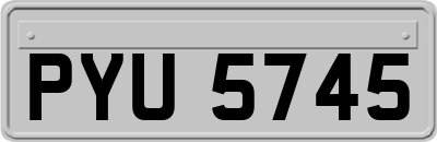 PYU5745