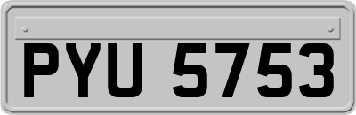 PYU5753