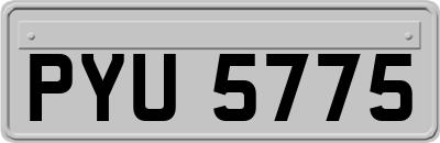 PYU5775