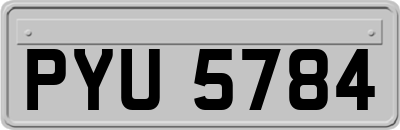 PYU5784