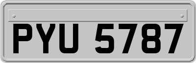 PYU5787