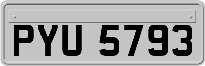 PYU5793