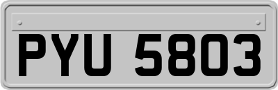 PYU5803