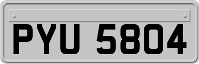 PYU5804