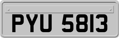 PYU5813