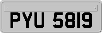 PYU5819