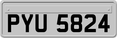 PYU5824