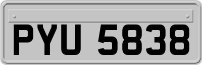 PYU5838