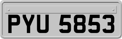 PYU5853