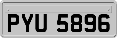 PYU5896