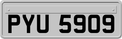 PYU5909