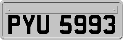 PYU5993