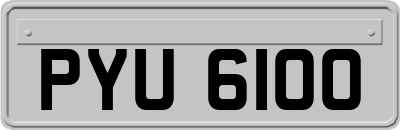 PYU6100