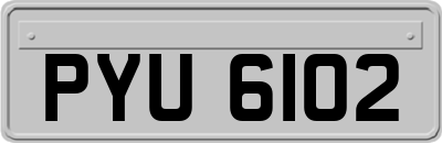 PYU6102