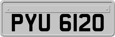 PYU6120