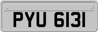 PYU6131