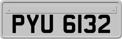 PYU6132