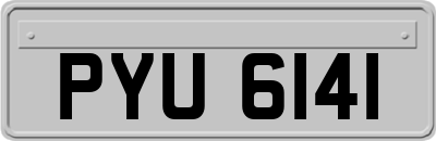 PYU6141