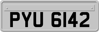 PYU6142