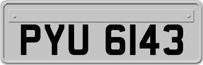 PYU6143