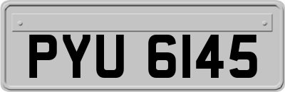 PYU6145